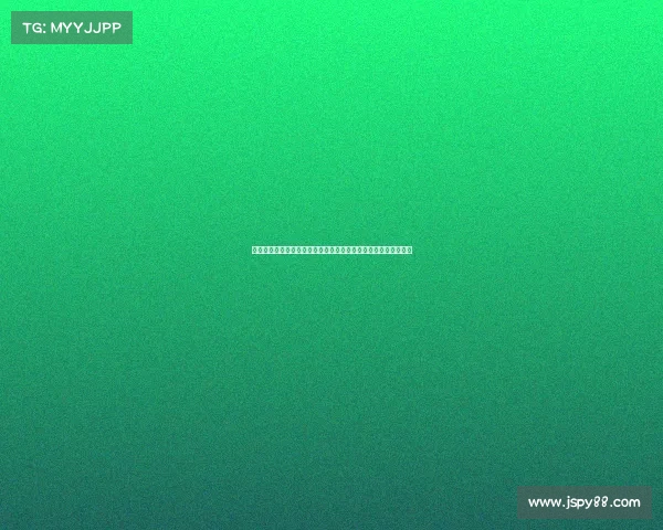 英超官方手册：全面解析英格兰足球顶级联赛的历史、规则与发展