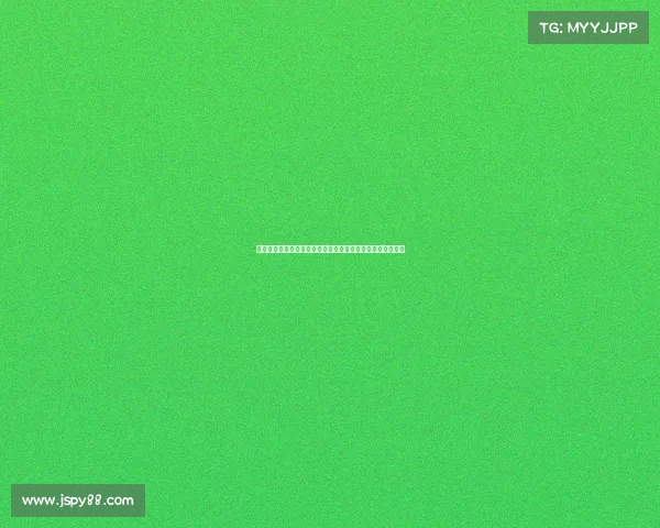 德甲战术演变与趋势分析：从高压防守到控球主导的变革探索