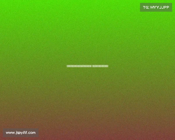 法国队荣获国际滚球锦标赛精准赛冠军 展现强大实力与完美配合